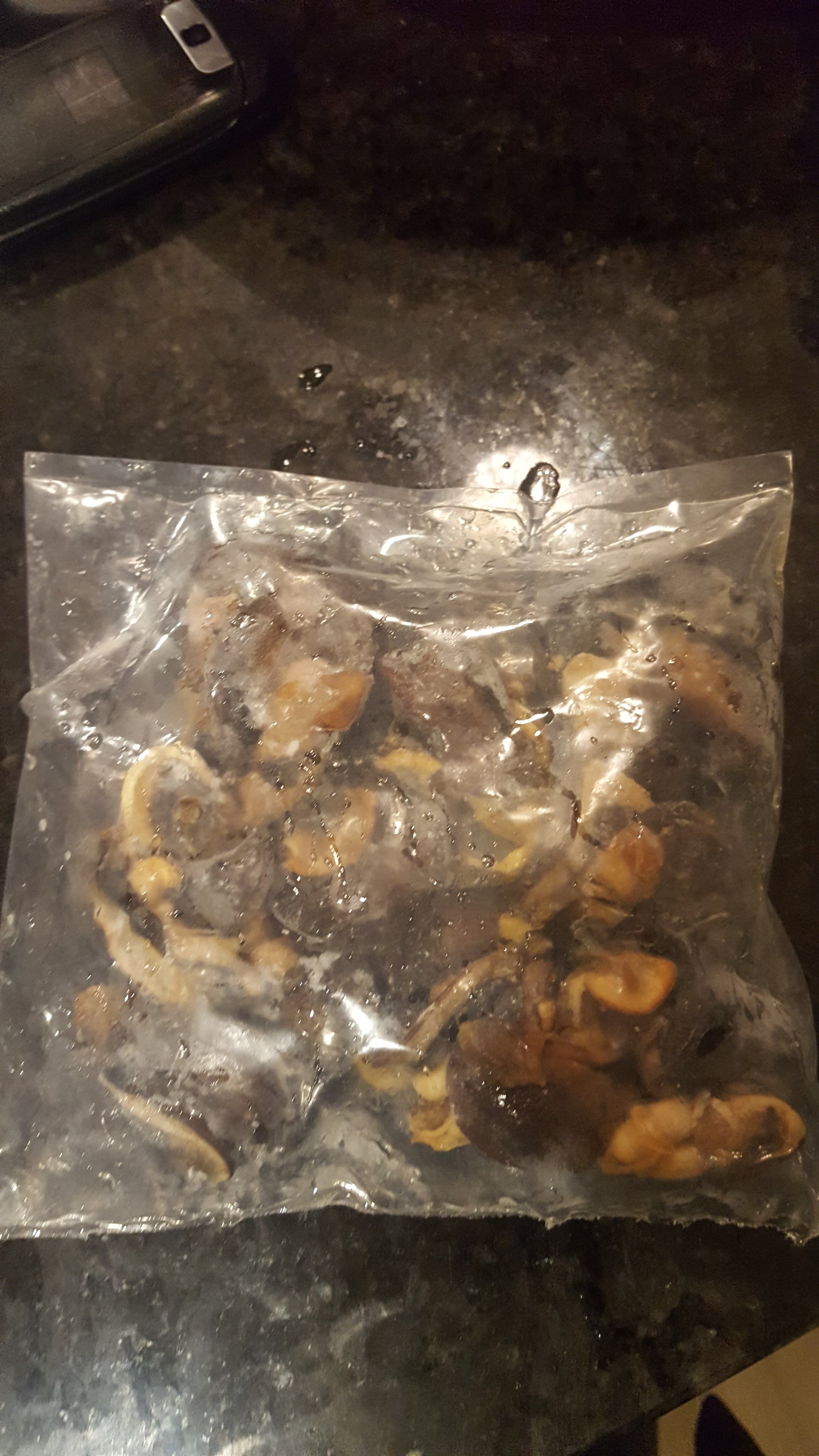Fresh Snails