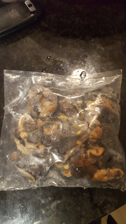 Fresh Snails