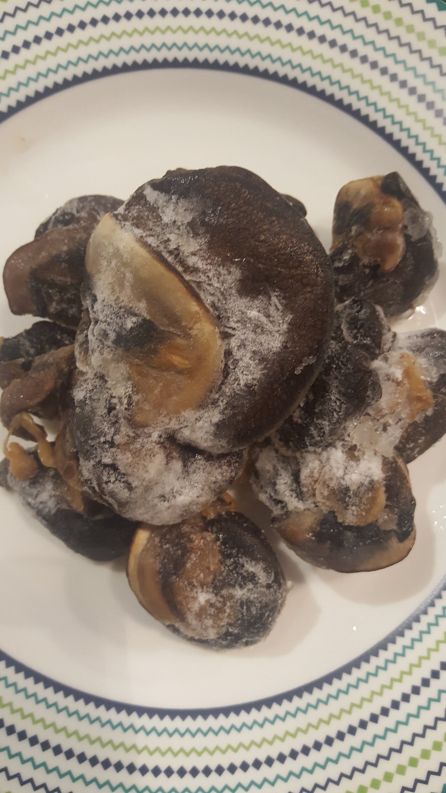 Fresh Snails