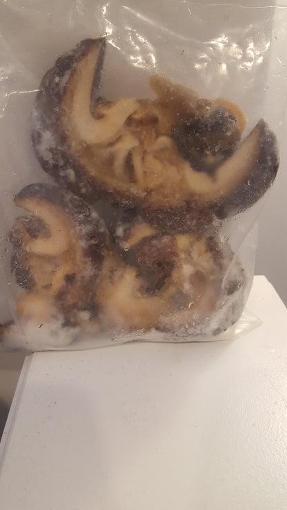 Fresh Snails