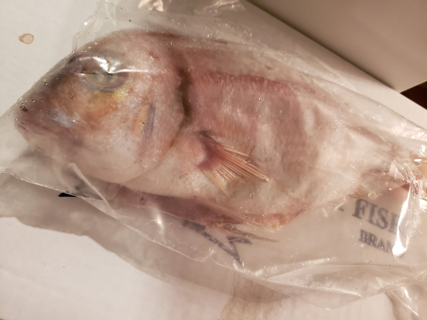 Box of Red snapper fish
