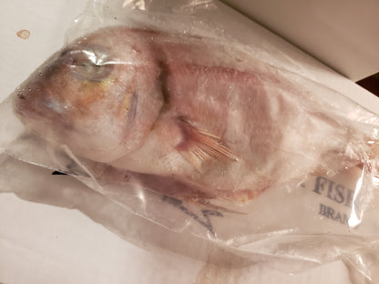 Box of Red snapper fish