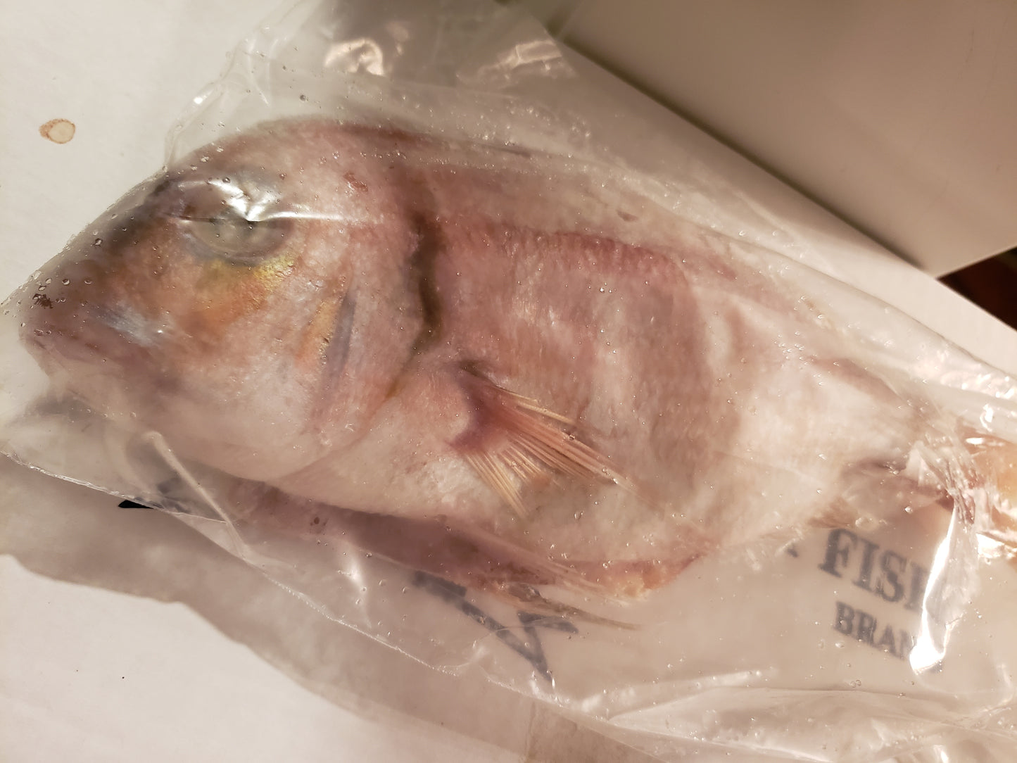 Box of Red snapper fish