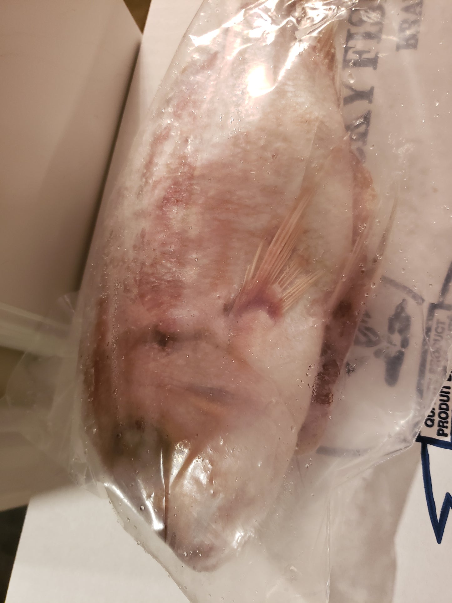 Box of Red snapper fish