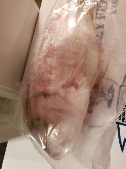 Box of Red snapper fish